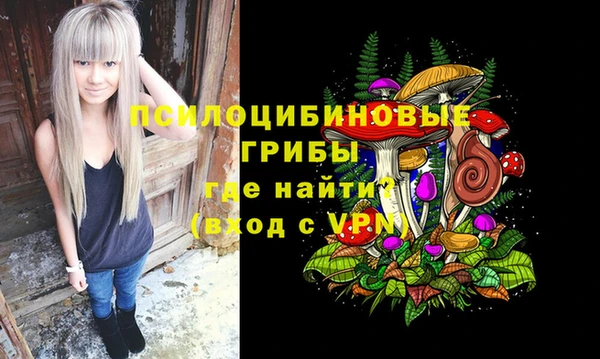 spice Арсеньев